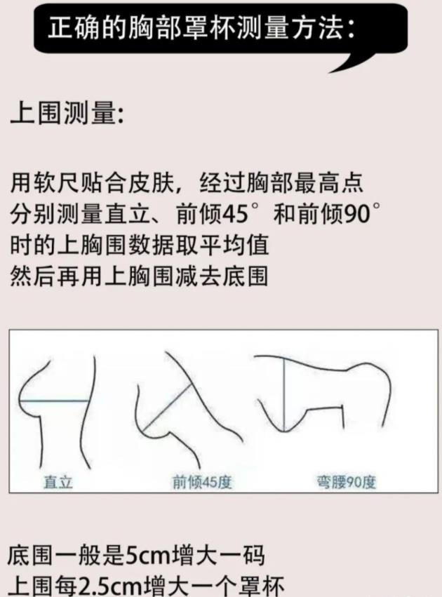 初二女生的胸好看嗎？初二女生的胸發(fā)育的怎么樣？[圖]