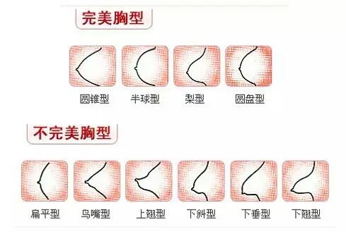 11歲女孩的胸部是怎樣的？11歲女孩的乳房長什么樣？[圖]