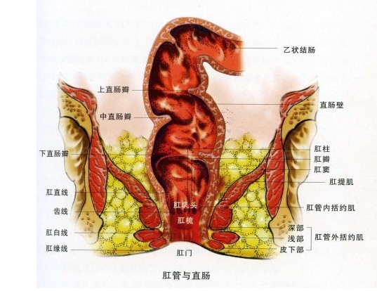 武漢馬應龍肛腸醫院看直腸潰瘍好嗎 效果如何呢