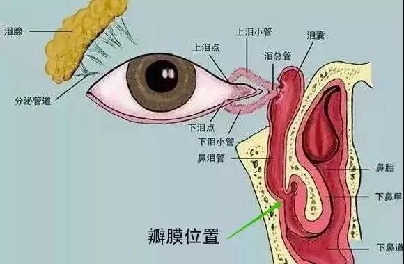 合肥愛爾眼科醫院：什么是淚道疾病？