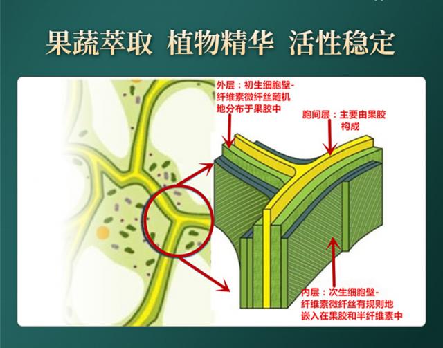 常青通超微化果蔬膳食纖維中國發明專利