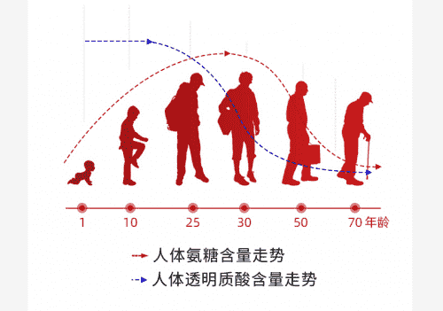 膝關節疼痛不怕，營養屋谷比利助你科學護膝