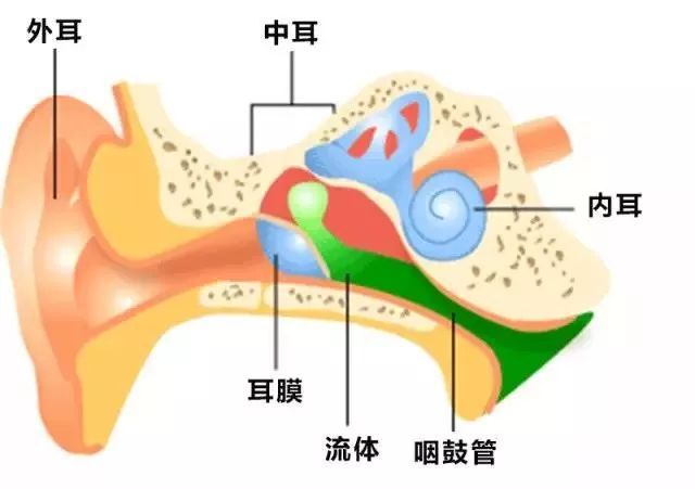 哪些原因可能導致中耳炎？中耳炎有哪些危害？武漢民生耳鼻喉醫院就耳鼻喉的話題在線解答