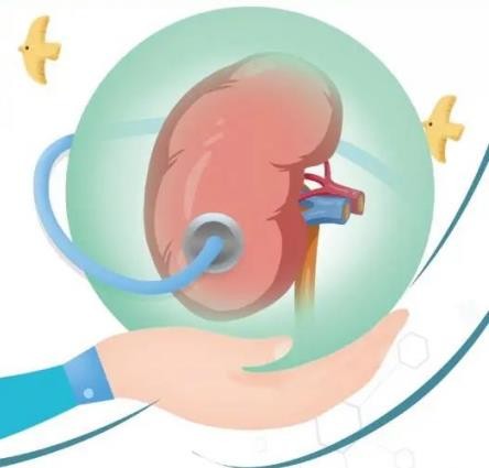 IgA腎病治療最新突破首次面世  公益性專題講座將在廣州召開