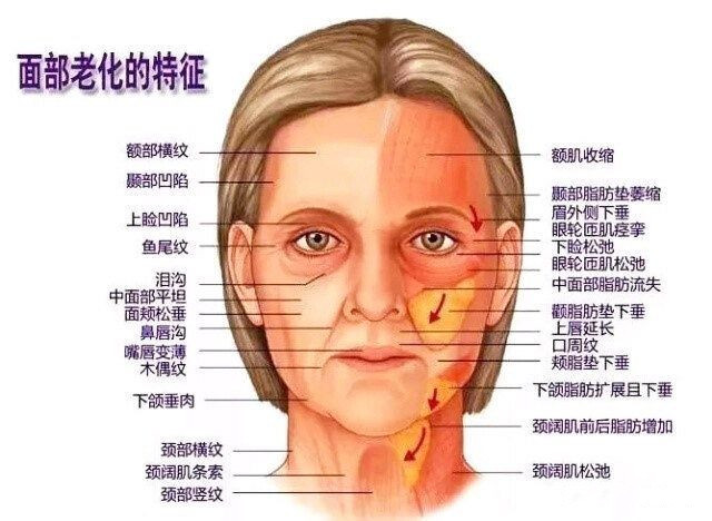  北京煤醫(yī)副主任王馳：TER時光定格術為什么聯(lián)合吸脂？