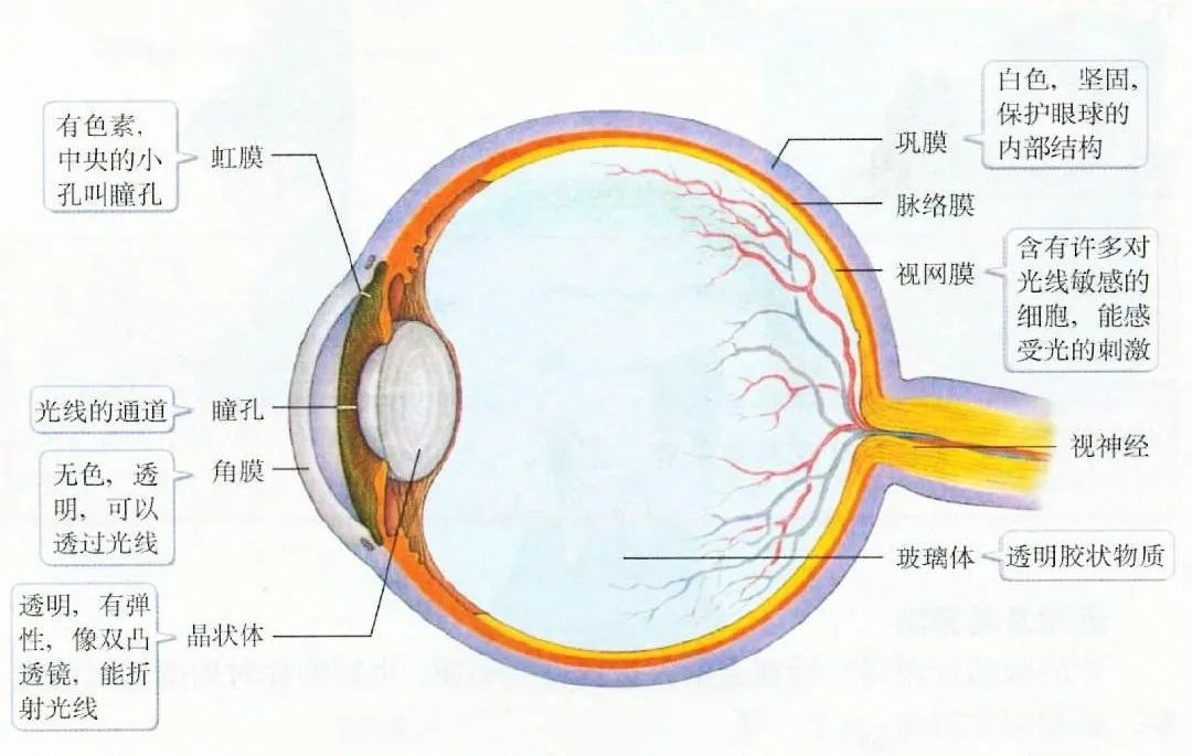 【合肥愛爾眼科】眼底病，看不見摸不著不熟悉且十分危險！