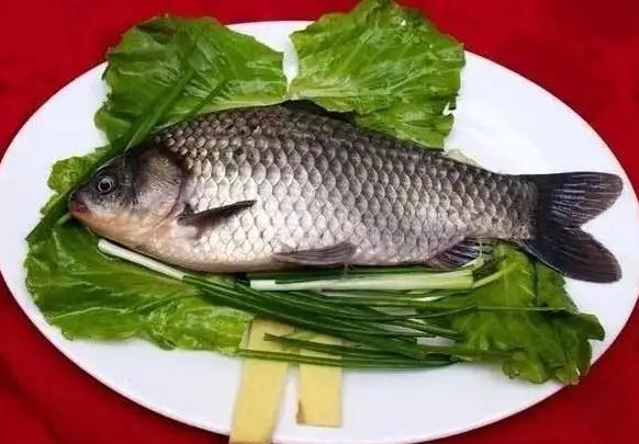 鯽魚死了多久不能吃？鯽魚可以放冰箱冷凍嗎？