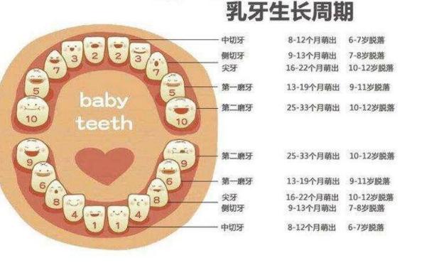 兒童磨牙怎么辦？嬰兒磨牙棒會讓牙齒畸形嗎？