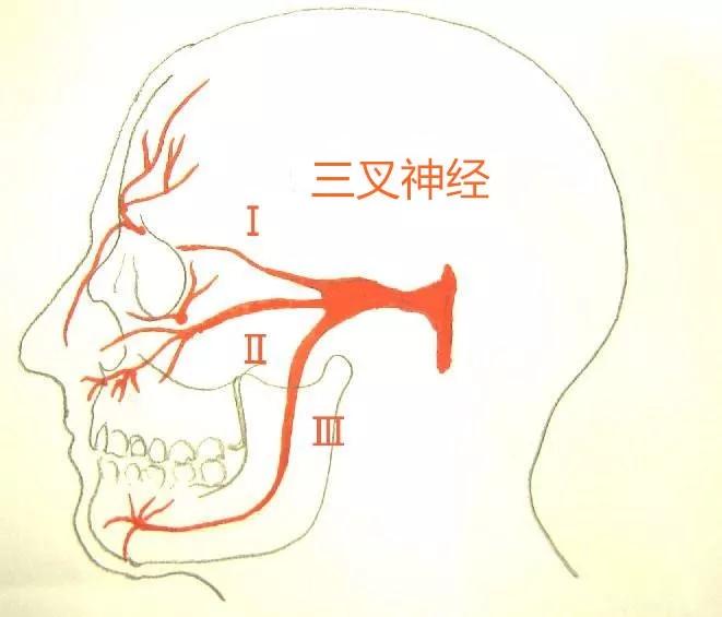  暨南大學崇愛醫院怎么樣，居劍鋒談三叉神經痛治療