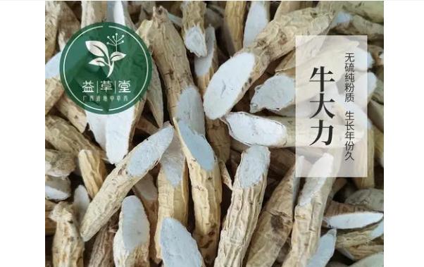 牛大力有什么功效與作用？哪些人群不宜食用牛大力？