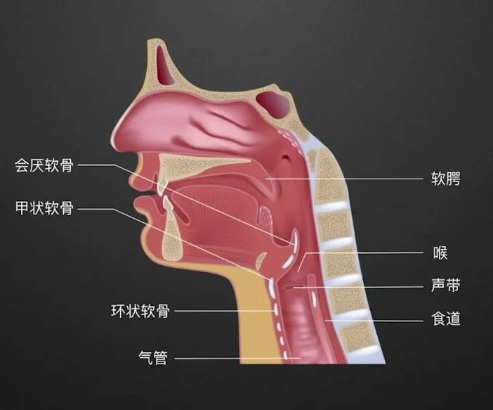 咽喉炎到底怎么回事？成都民生耳鼻喉醫院教你緩解嗓子疼！