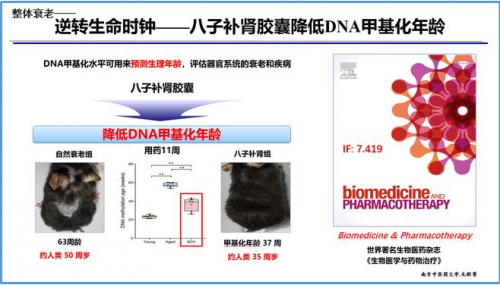 吳以嶺教授構(gòu)建氣絡(luò)學說精氣神理論，指導抗衰老研究與防治