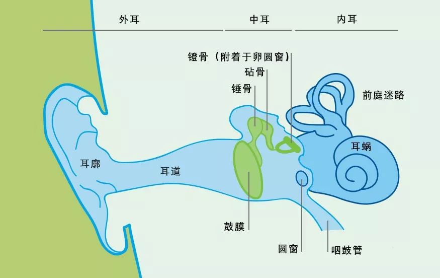 廣泛使用的藍牙耳機正在威脅你的耳朵健康嗎？