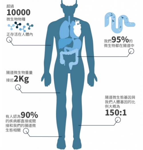 濕敏又有了新希望，PGut讓百億“益生菌”為你打工！